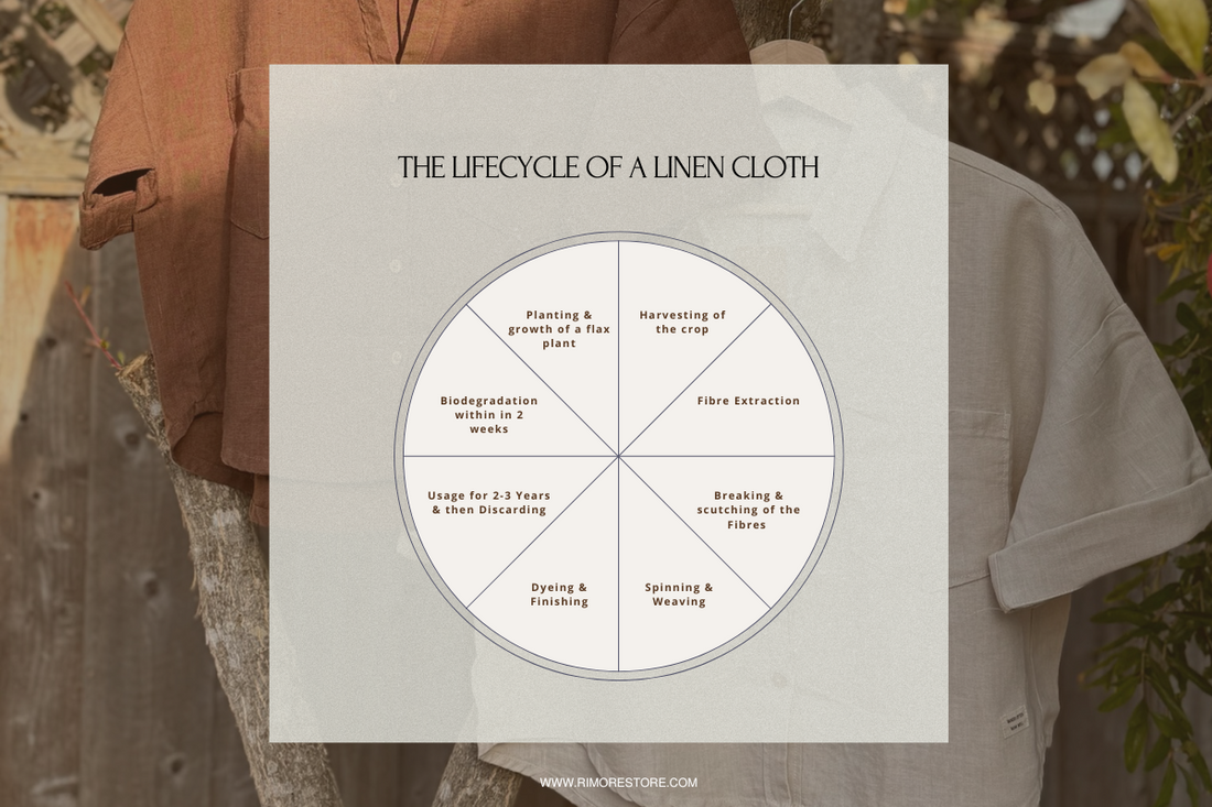 The Journey of Linen: From Flax Plant to Fashionable Attire