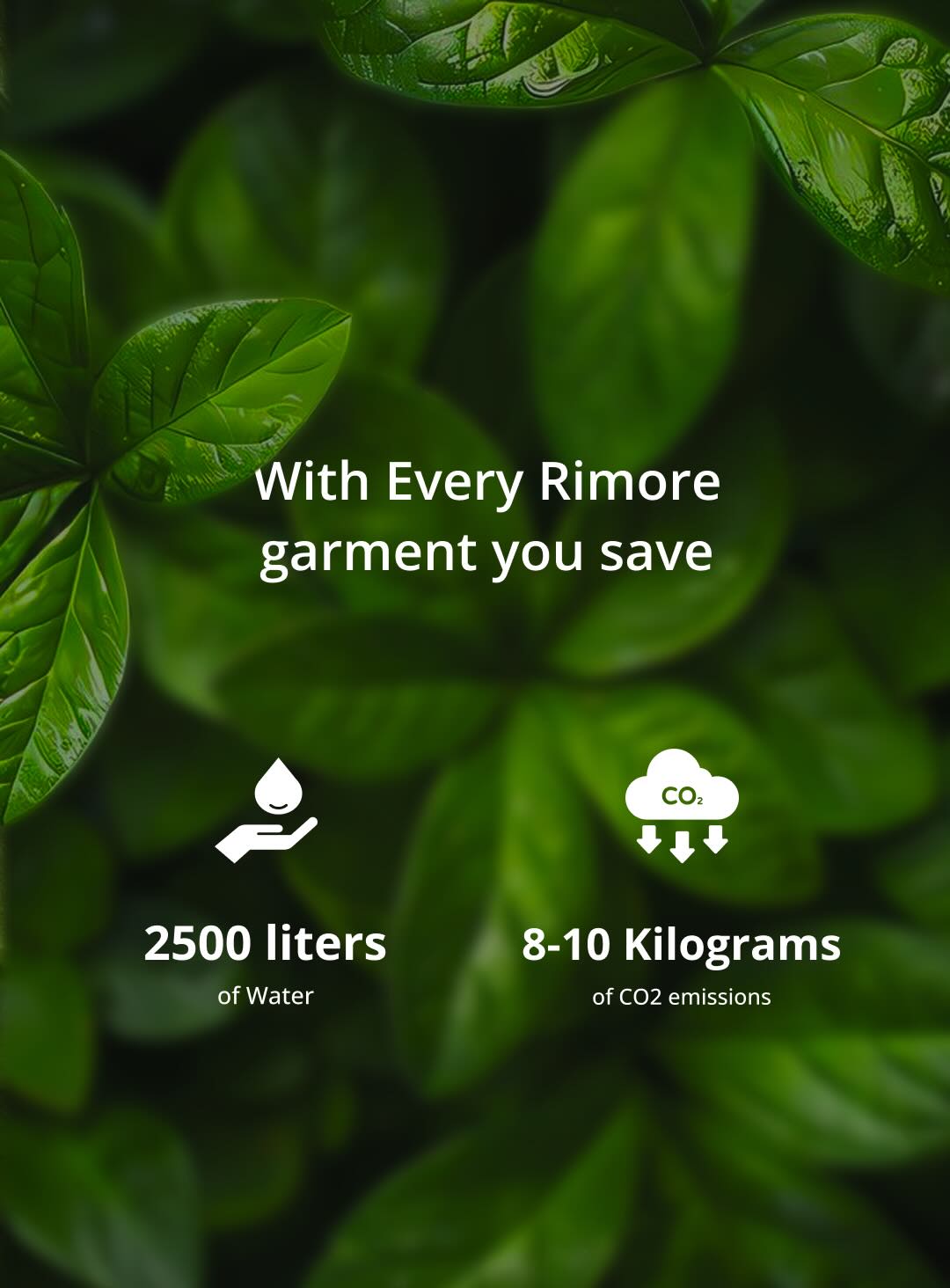 Rimore's Environmental impact