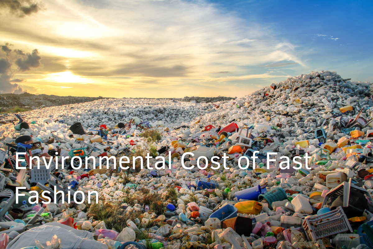 Fast Environment The Environmental Impact of Fast Fashion: Why Choosing Sustainable Fab ...