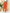 100% Premium Linen Carrot Pant - Women